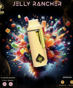 Ace Ultra Jelly Rancher